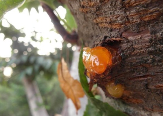 三分鐘了解樹(shù)脂檢測(cè)的所有知識(shí)